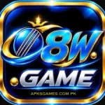 W8 Game